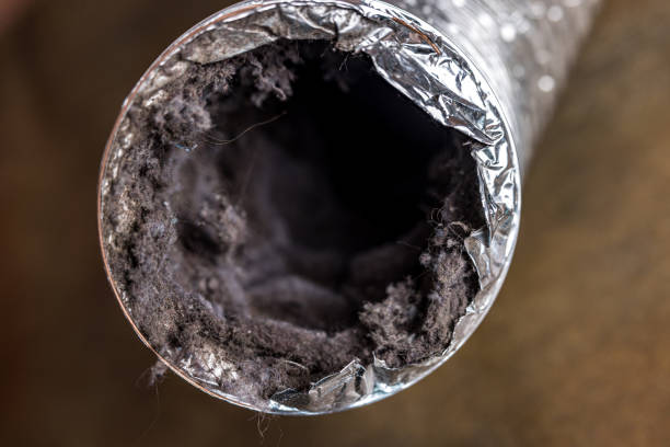 Best Air Duct Cleaning Near Me  in Mount Vernon, IA